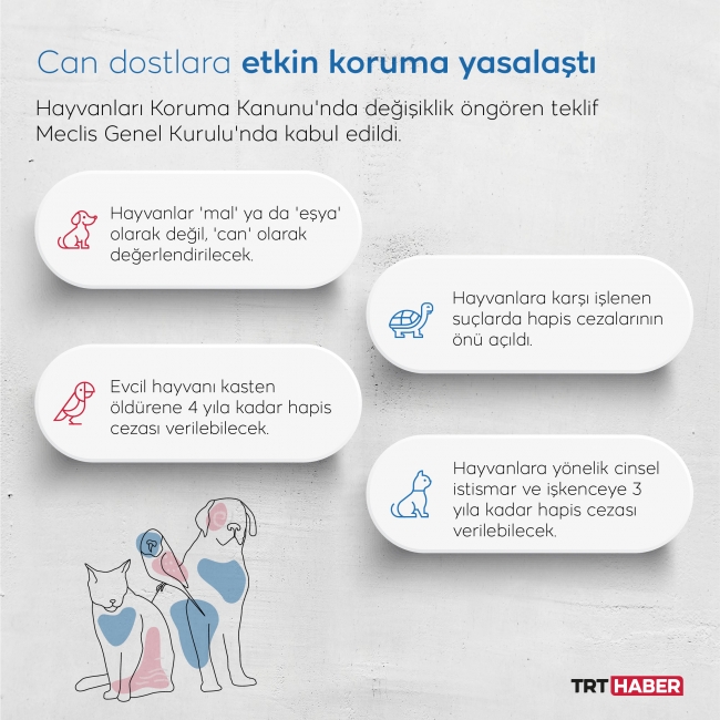 Grafik: TRT Haber / M. Furkan Terzi